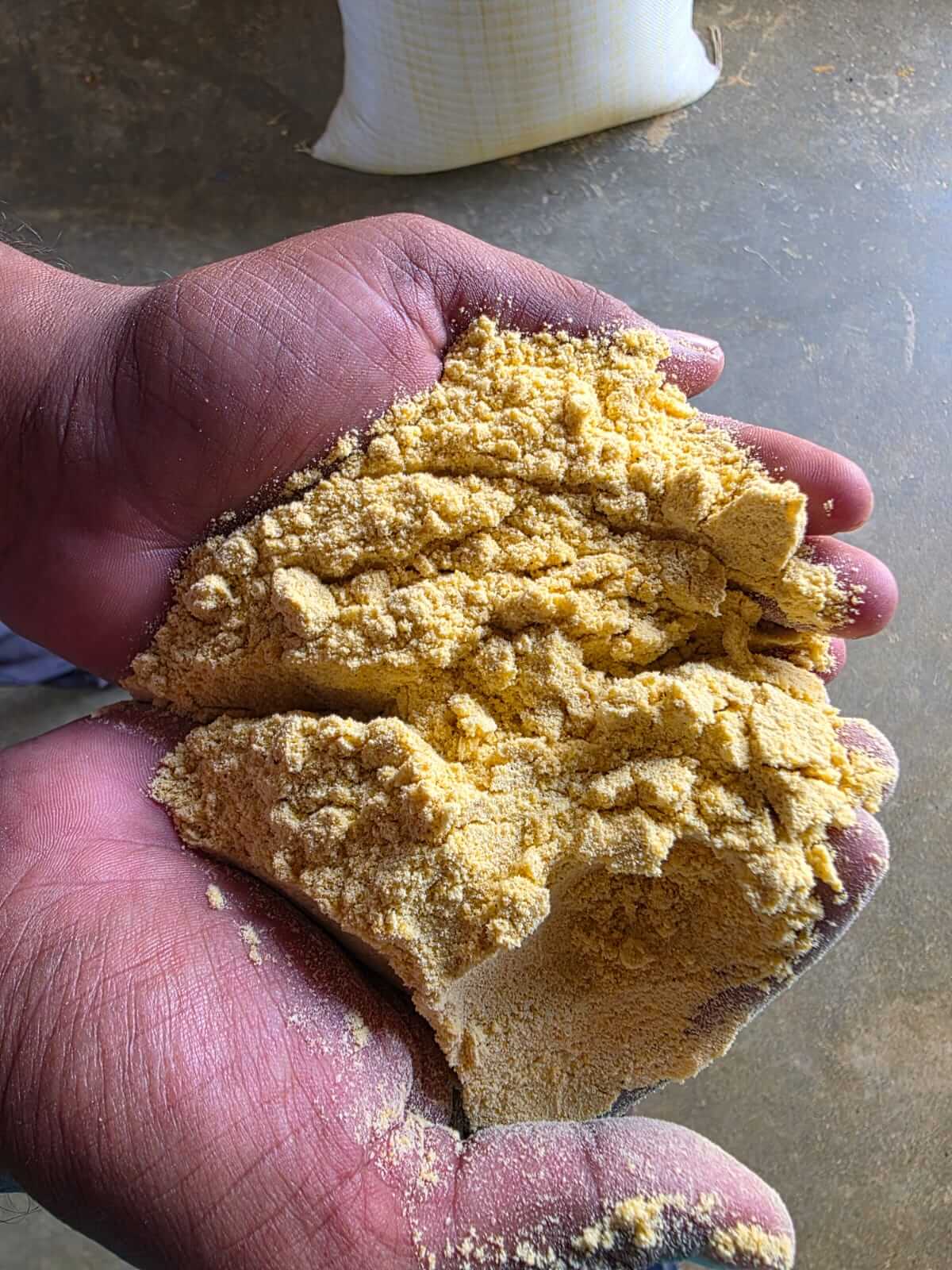 Maize Cattle Feed