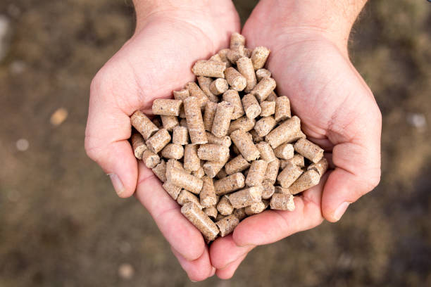Mixed Pellet Feed